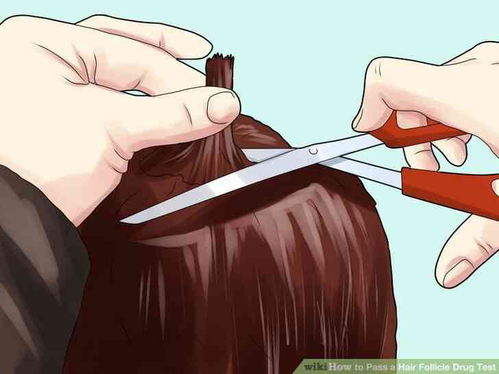Image intitulée Passer un Cheveux Follicule de Test de Drogue à l